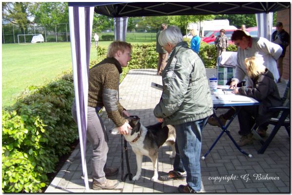 Zuchtzulassung 2010 024.JPG